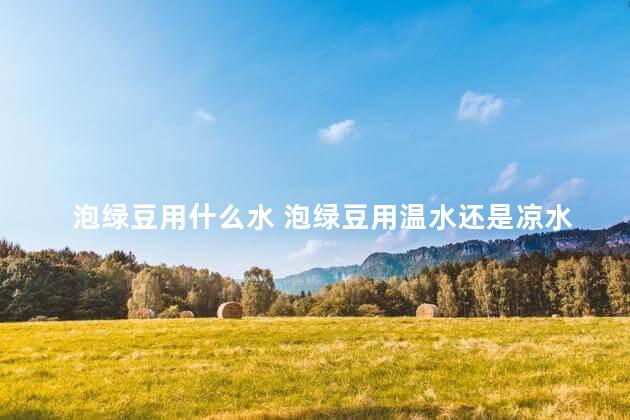 泡绿豆用什么水 泡绿豆用温水还是凉水